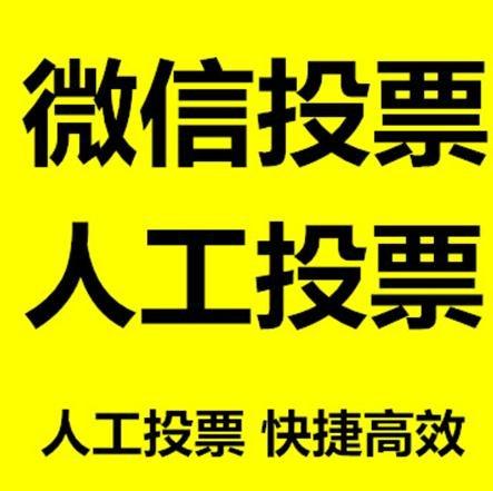 锡林郭勒盟投票活动拉票能被查出来吗？如何操作能不被发现？